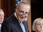 Schumer wants to end partisan primaries