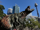Video: Tyrannosaur heory aided by new footprints
