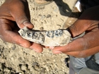 'Earliest human' jawbone discovered