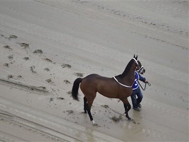 Two horses die in early races at Preakness