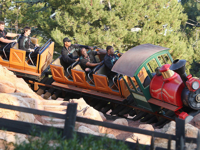 Disney World's Big Thunder Mountain Railroad can help pass kidney stones, study claims