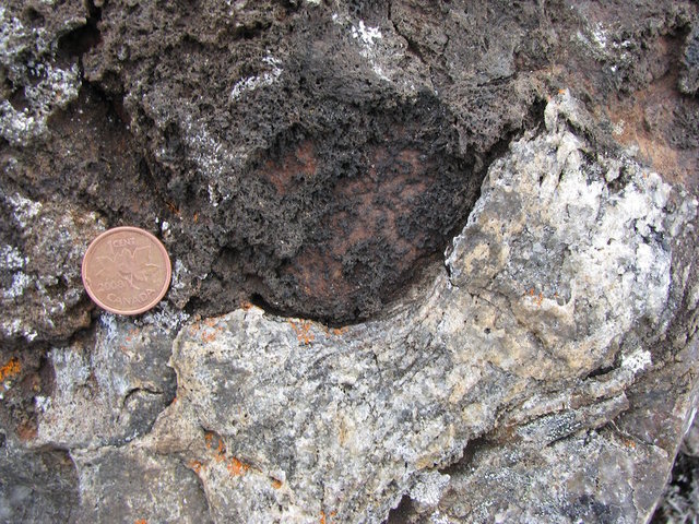 World's oldest microfossils found, researchers claim