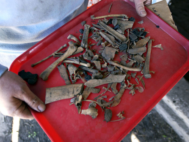 8 arrested in human bone smuggling ring, Indian police say