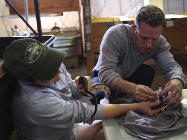 33 reptiles mysteriously die at Tennessee zoo