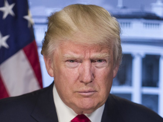 Trump finally to launch voter fraud panel