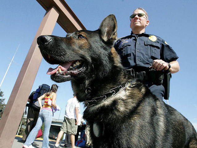 Police dog nabs naked rape suspect in Indiana
