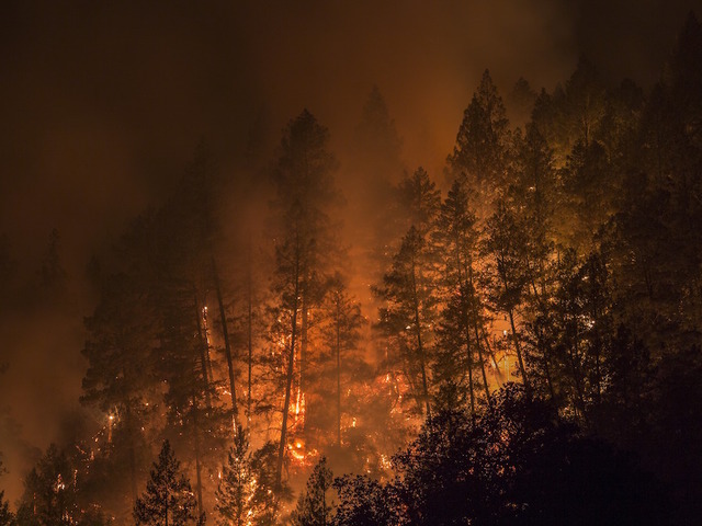 Ashes and bones found in ruins scorched from California wildfires