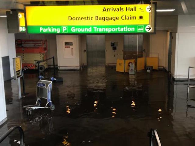 Terminal evacuated at JFK Airport due to flooding amid travel woes Terminal evacuated at JFK Airport due to flooding amid travel woes