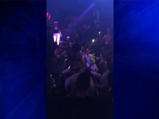 Miami nightclub under investigation for animal cruelty after woman rides horse into club