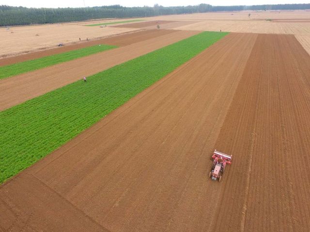 One of the most densely populated regions on Earth set become deadliest heat wave zone: report