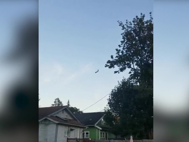 Officials find human remains in wreckage of crashed plane stolen from Seattle-Tacoma airport