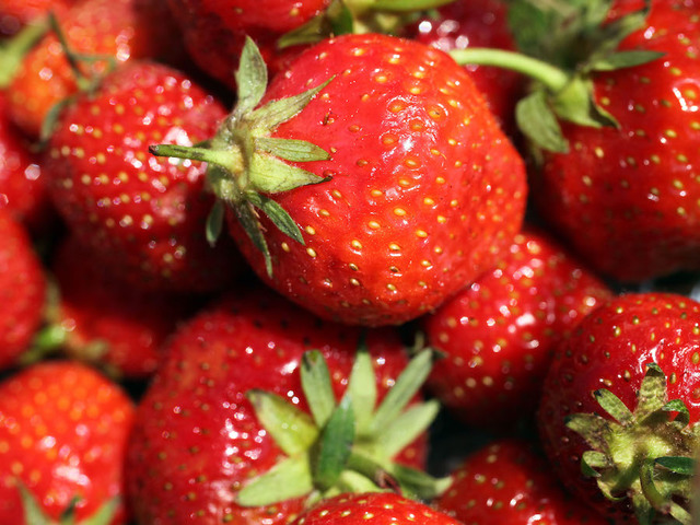 Strawberries contaminated with needles and pins leads to federal probe in Australia