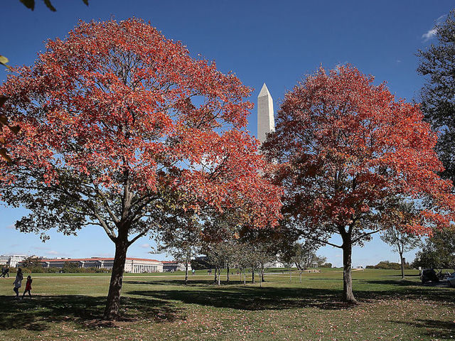 The first day of fall is here: Here are 5 things you may not know