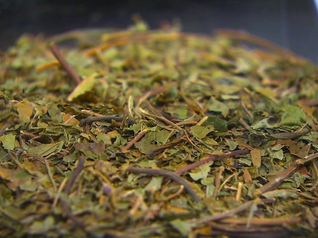 She drank kratom tea while pregnant. Then her newborn went into withdrawal