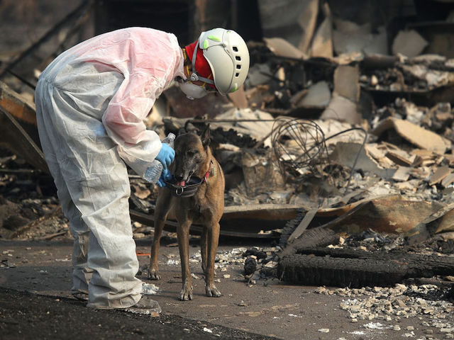 As searchers look for remains, President views Camp Fire devastation